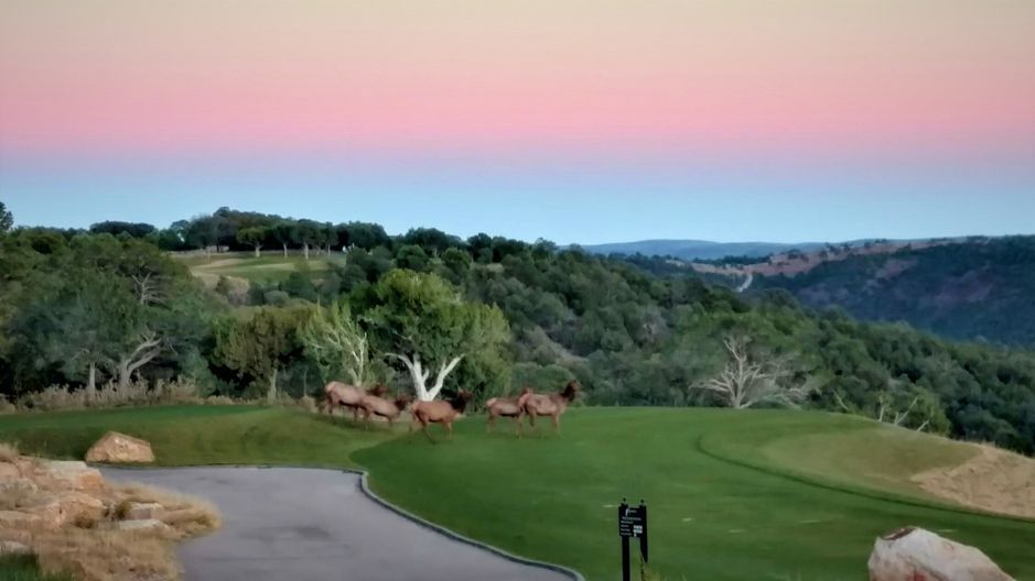 Rainmakers Resort and Club
